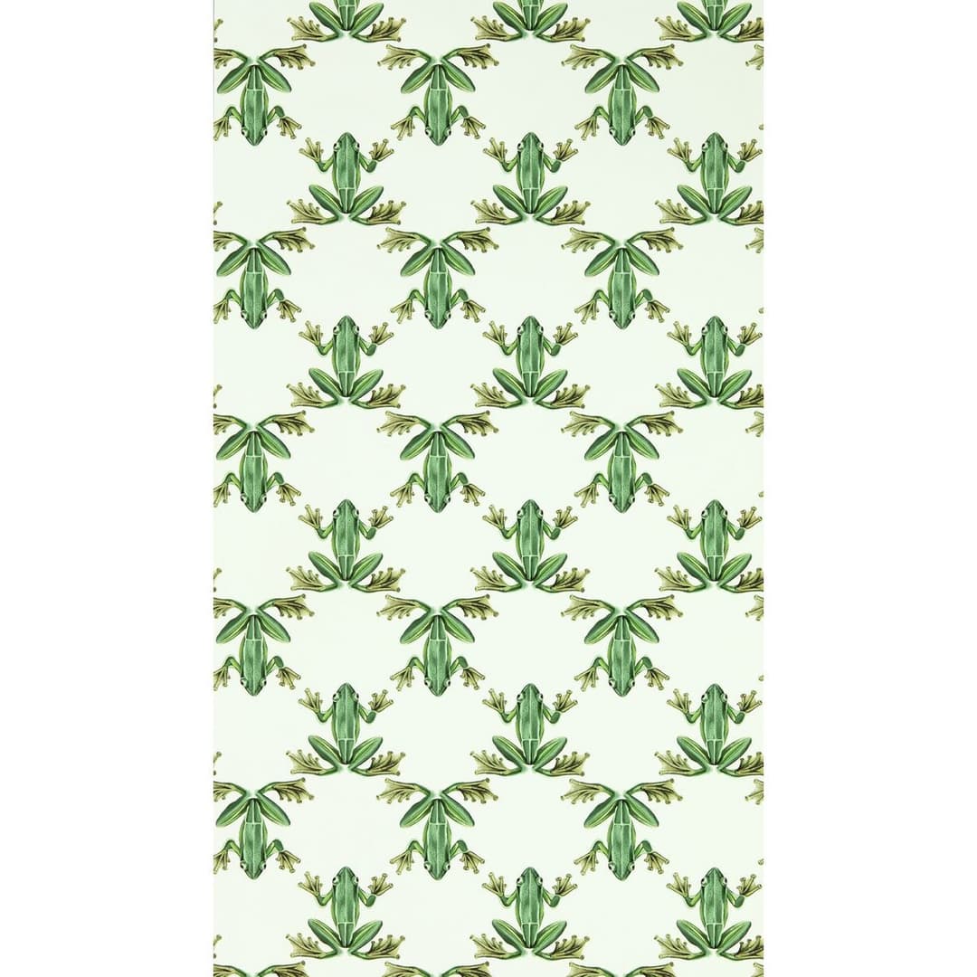 Harlequin Wood Frog Forest Chalk Green Wallpaper - Image 2