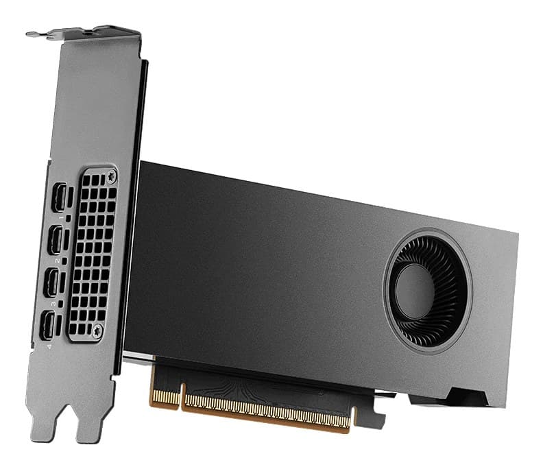 PNY RTX PRO 2000 Blackwell NVIDIA 16 GB GDDR7 - Image 3