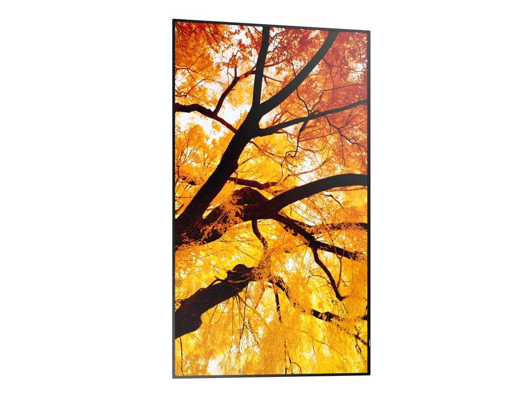 Sharp MultiSync M502 Digital signage flat panel 127 cm (50") LCD 550 cd/m² 4K Ultra HD Black 24/7 - Image 4