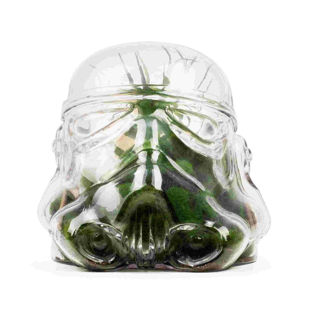 Thumbs Up Star Wars Original Stormtrooper Cookie Jar & Terrarium - Image 2