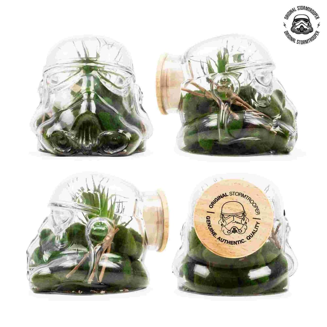Thumbs Up Star Wars Original Stormtrooper Cookie Jar & Terrarium - Image 4
