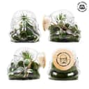 Thumbs Up Star Wars Original Stormtrooper Cookie Jar & Terrarium thumbnail 4