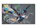 Philips Q-Line 43BDL3511Q 4K UHD Digital Signage Display - 43" thumbnail 2