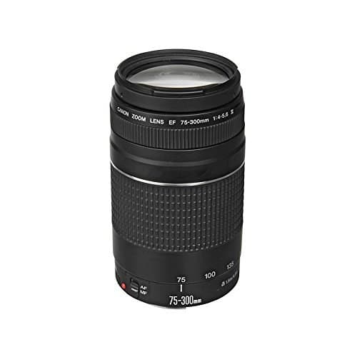 Canon EF 75-300mm f/4-5.6 III Telephoto Zoom Lens - Black - Image 6