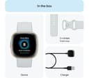 Fitbit Sense 2 Smartwatch - Blue Mist/Soft Gold thumbnail 5