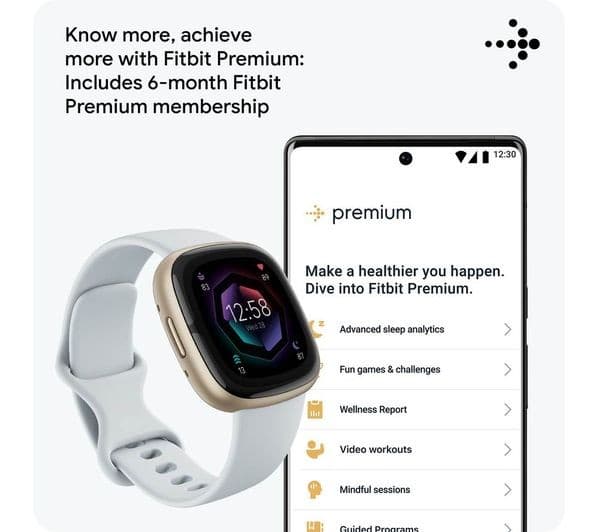 Fitbit Sense 2 Smartwatch - Blue Mist/Soft Gold - Image 6