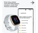 Fitbit Sense 2 Smartwatch - Blue Mist/Soft Gold thumbnail 6