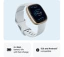 Fitbit Sense 2 Smartwatch - Blue Mist/Soft Gold thumbnail 7