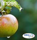 Epson Apple T129 DURABrite Ultra Multipack 4-colours EasyMail Ink thumbnail 1