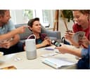 BOSE Portable Wireless Multi-room Home Smart Speaker with Google Assistant & Amazon Alexa - Silver thumbnail 2