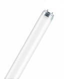 Osram Fluorescent Light L 30 Watt 865 Daylight 30 W - White thumbnail 2