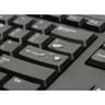 Kensington KB100 EQ Wired Full Size Keyboard