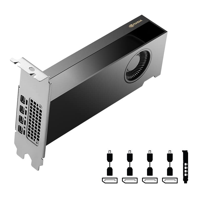 PNY NVIDIA RTX 2000 Ada Generation 16 GB GDDR6 - Image 2