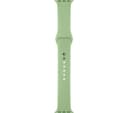 APPLE Watch 42 mm Mint Sport Band thumbnail 2