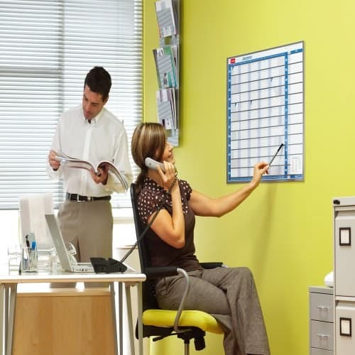 Nobo Sasco Mounted Year Planner Track - Image 4