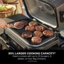 Ninja OG850UK Woodfire Pro XL Electric BBQ Grill & Smoker thumbnail 8
