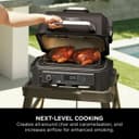 Ninja Woodfire XL Roast and Smoke Rack thumbnail 2