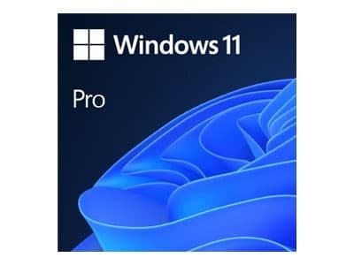 Windows 11 Pro - licence - 1 licence
