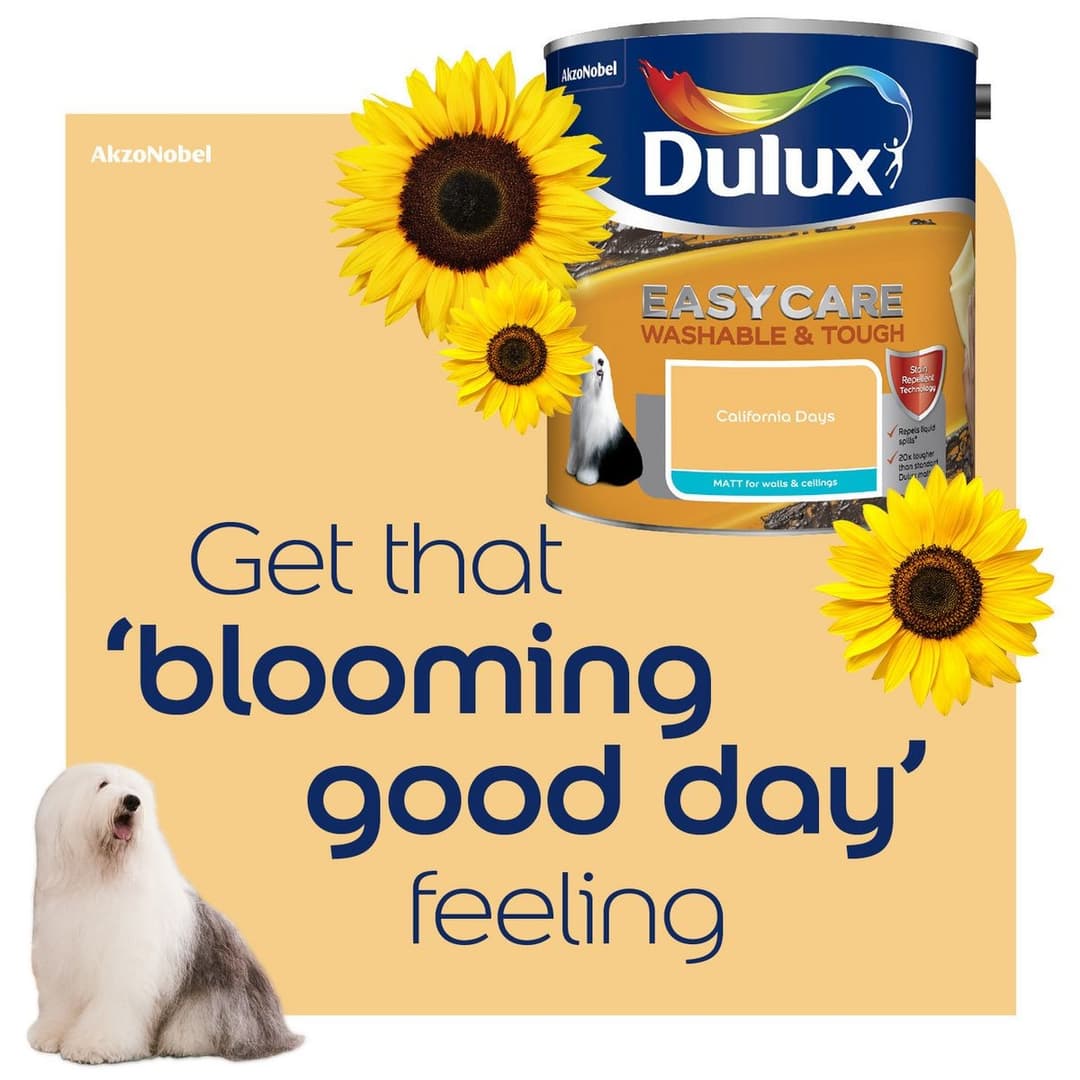 Dulux Easycare Washable & Tough Matt California Days - 2.5L - Image 9