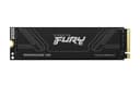 Kingston Technology 4T FURY RENEGADE G5 M.2 2280 NVMe SSD thumbnail 1
