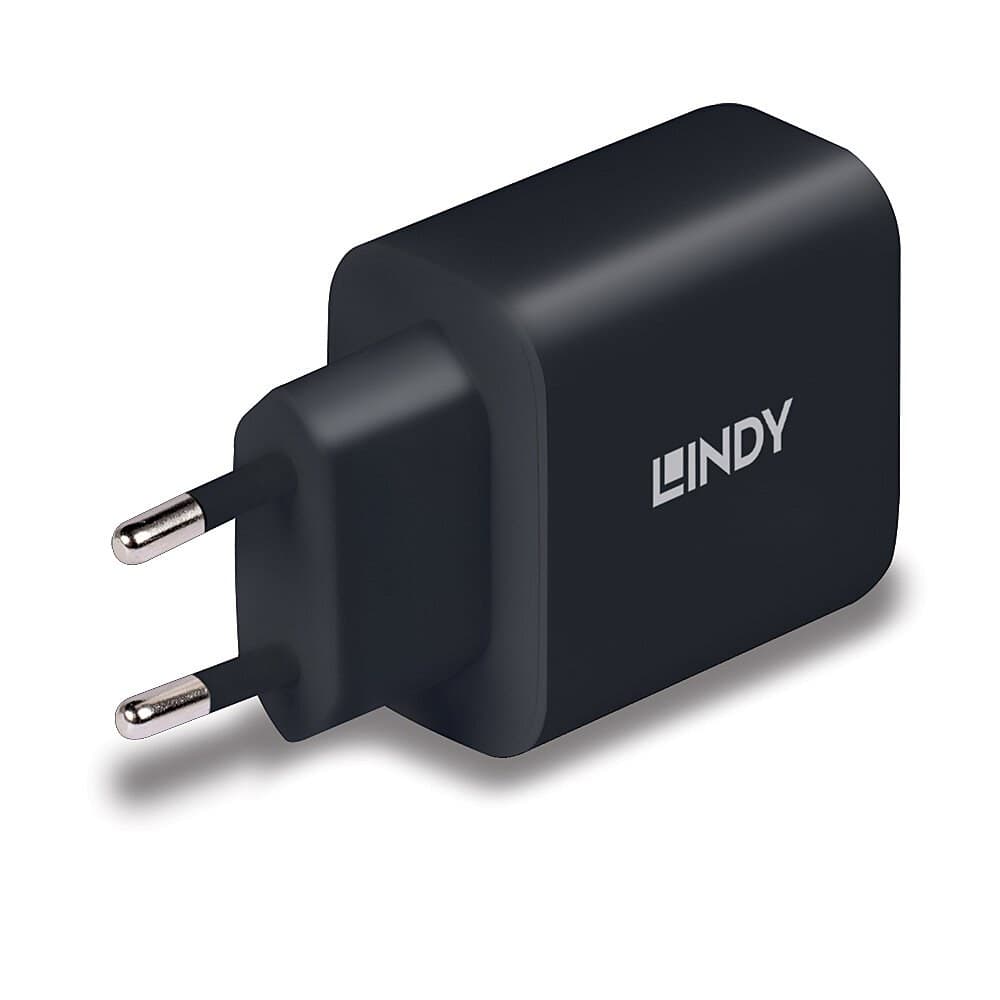 Lindy 73426 mobile device charger Universal Black AC Fast charging Indoor - Image 2