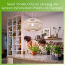 Philips LED Premium Classic Filament A60 Light Bulb 6 Pack - Warm White thumbnail 6