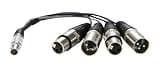 Atomos XLR Audio Cable - Image 3