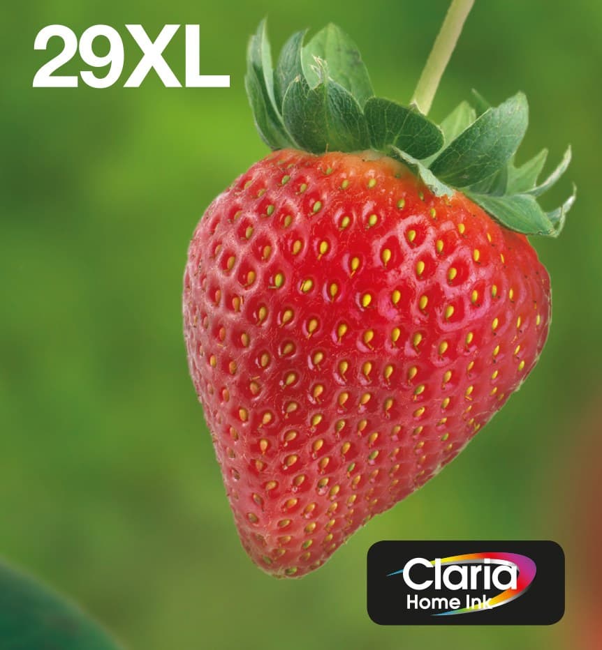 Epson Strawberry Multipack 4-colours 29XL EasyMail - Image 1