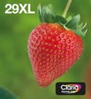 Epson Strawberry Multipack 4-colours 29XL EasyMail thumbnail 1