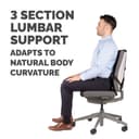 Fellowes Back Support for Office Chair - Professional Series Ultimate Back Support with Antibacterial Protection - H36.5 x W37.5 x D5.5cm thumbnail 4