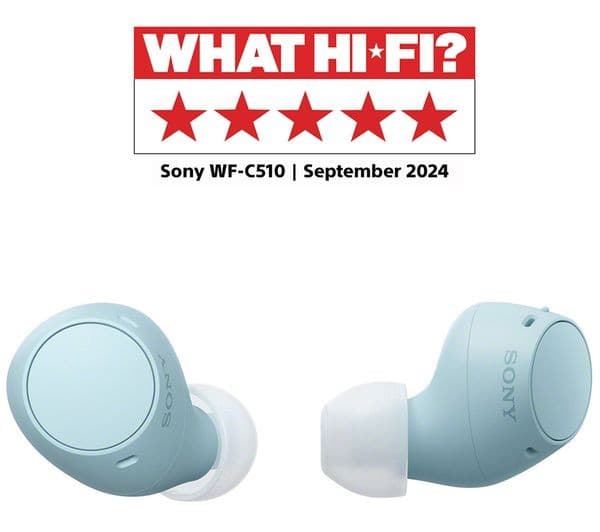 SONY WF-C510 Wireless Bluetooth Earbuds - Blue - Image 2