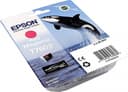 Epson C13T76034010 T7603 Vivid Ink Cartridge - Magenta thumbnail 5