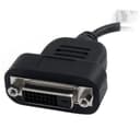StarTech.com DisplayPort to DVI Adapter - Active DisplayPort to DVI-D Adapter/Video Converter 1080p - DP 1.2 to DVI Monitor Cable Adapter Dongle - DP to DVI Adapter - Latching DP Connector thumbnail 2