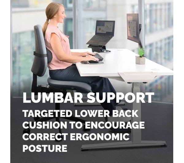 FELLOWES Breyta Lumbar Back Support Cushion - Black - Image 4
