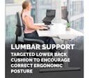 FELLOWES Breyta Lumbar Back Support Cushion - Black thumbnail 4
