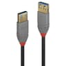 Lindy 0.5m USB 3.2 Type A Extension Cable, 5Gbps, Anthra Line