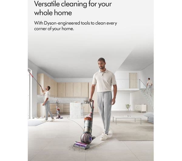 Dyson Ball Animal Origin Vacuum Nickel/Silver - Image 10