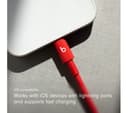 BEATS USB-C to Lightning Cable 1.5m Rapid Red thumbnail 3