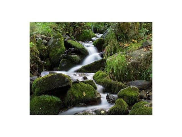 Cokin Z-Pro Series Z154 ND8 Filter - Image 5