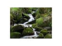 Cokin Z-Pro Series Z154 ND8 Filter thumbnail 5