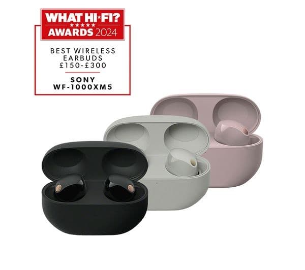 Sony WF-1000XM5 Wireless Noise Cancelling Earbuds - Silver - Image 3