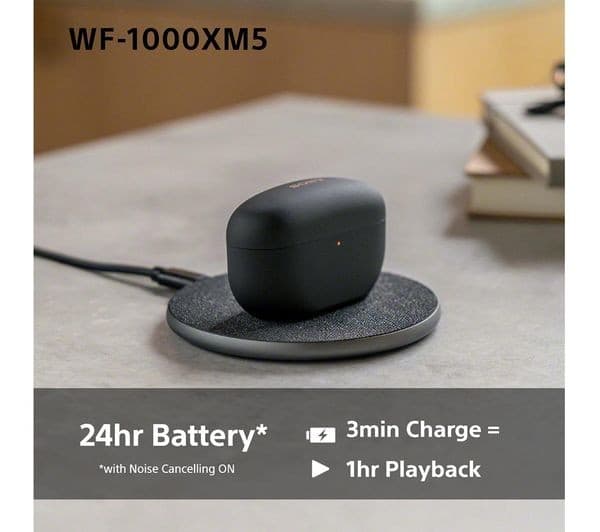 Sony WF-1000XM5 Wireless Noise Cancelling Earbuds - Silver - Image 7