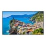 Panasonic TH-75EQ2W - 75  Diagonal Class (74.5  viewable) - EQ2 Series LED-backlit LCD display - digital signage - 4K UHD (2160p) 3840 x 2160 - direct-lit LED - black
