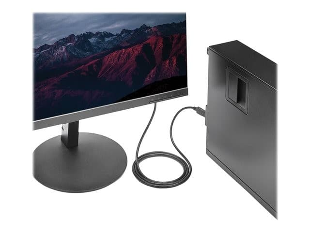 StarTech DP2DVIMM6 DisplayPort to DVI Cable - Image 4