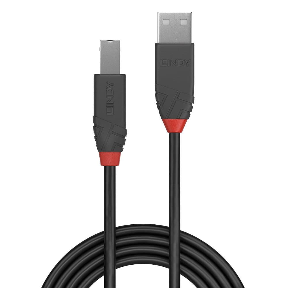 Lindy 0.5m USB 2.0 Type A to B Cable, Anthra Line - Image 2