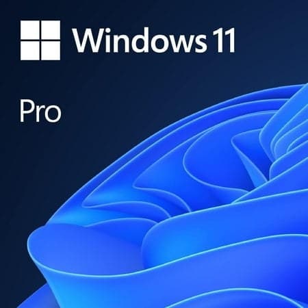 Microsoft Windows 11 Pro USB Flash Drive 1 User / 1 PC Online Activation   Validity Lifetime