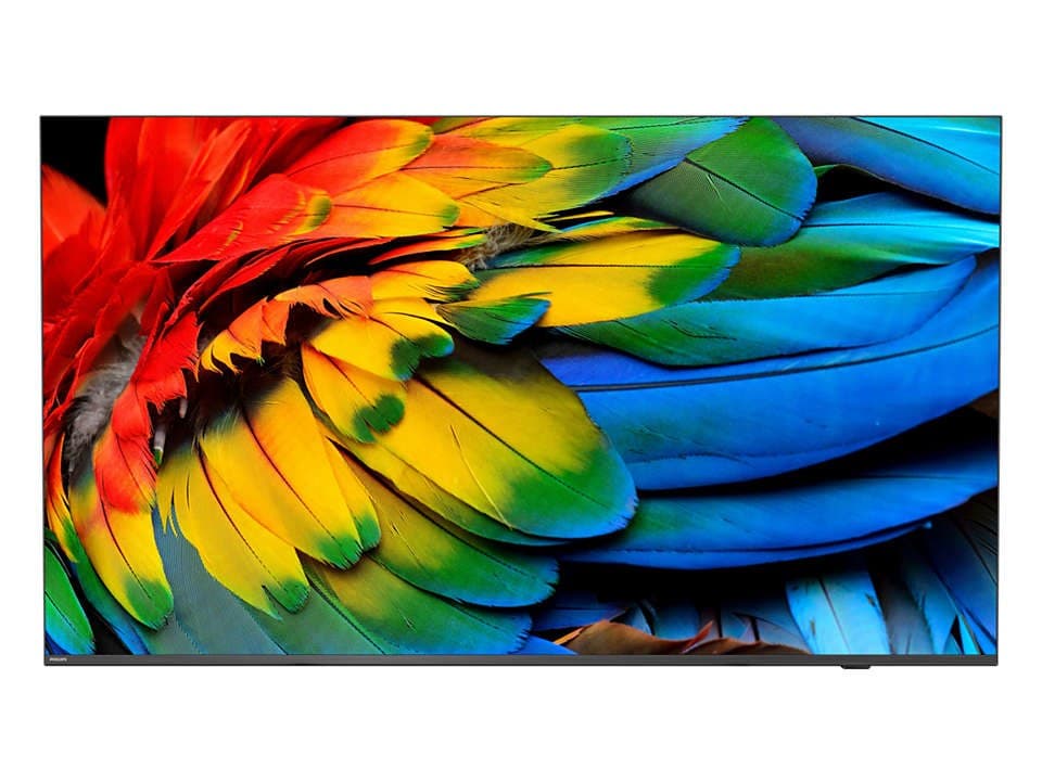 Philips 50HFL6214U 127 cm (50") 4K Ultra HD Smart TV Wi-Fi Anthracite 400 cd/m² Rollable display - Image 1