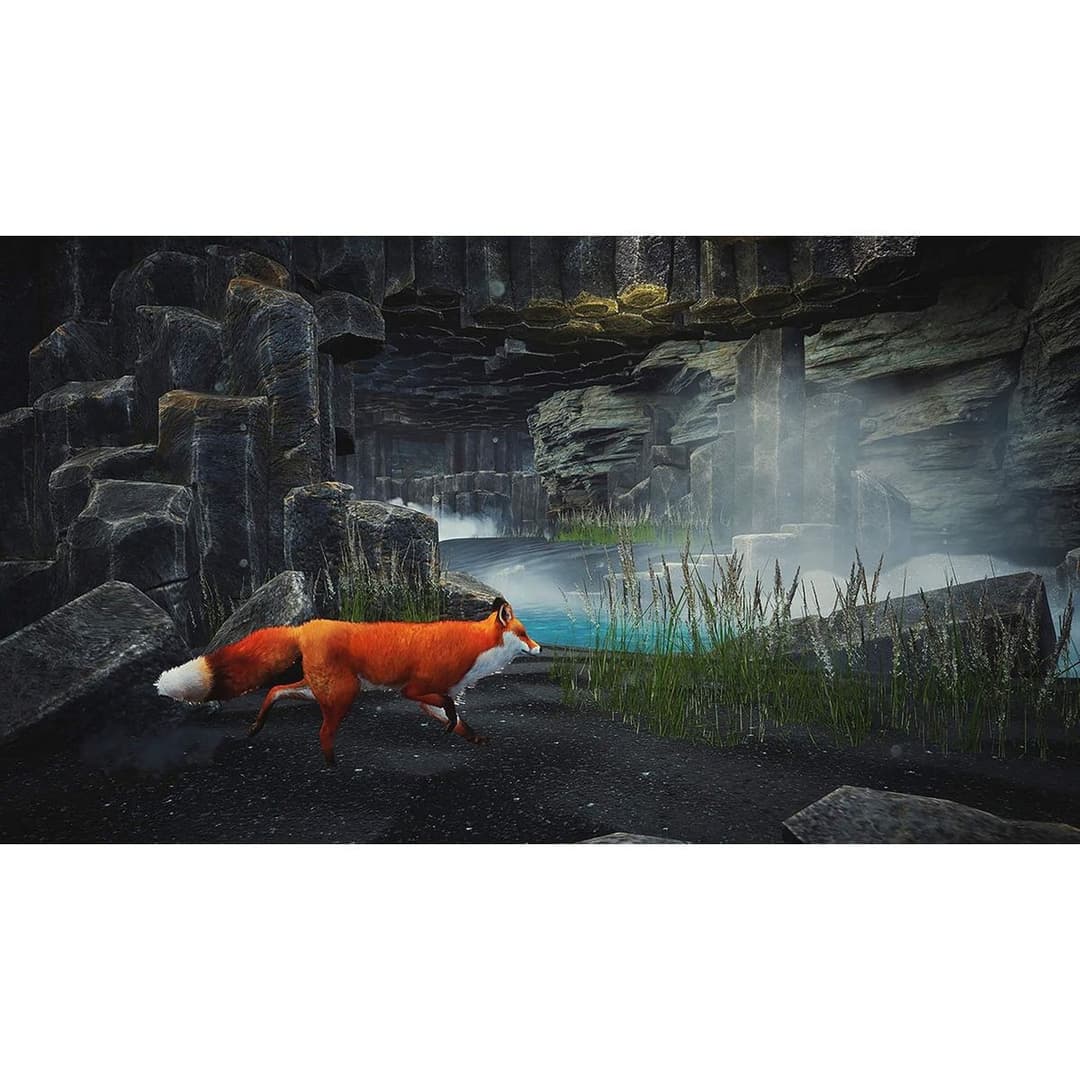 Spirit Of The North: Enhanced Edition PS5 Game - Image 5
