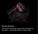 Dyson Big Ball Animal 2 Cylinder Bagless Vacuum Cleaner - Iron Sprayed Purple thumbnail 3