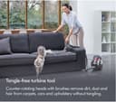 Dyson Big Ball Animal 2 Cylinder Bagless Vacuum Cleaner - Iron Sprayed Purple thumbnail 10